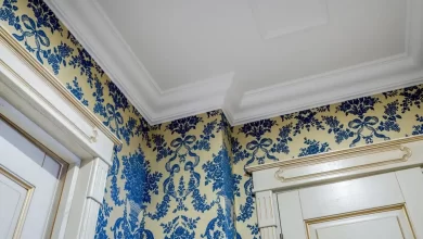 transform-your-home-with-elegant-plaster-cornice-designs-for-every-room