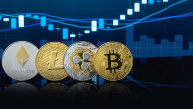 nox-trading-signals-reviews-–-why-we-reccomend-joining-them